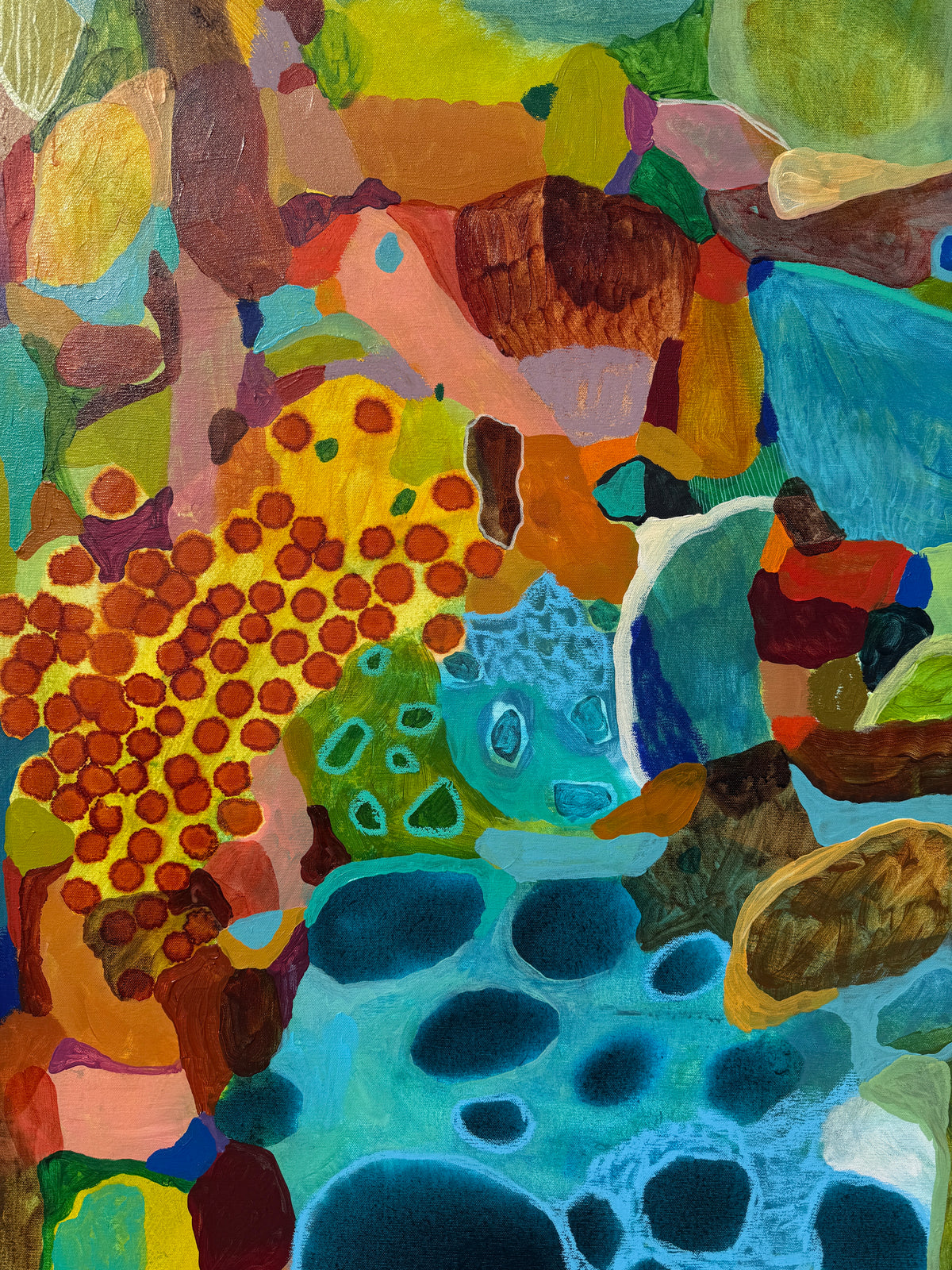 'Bay of Dreams'