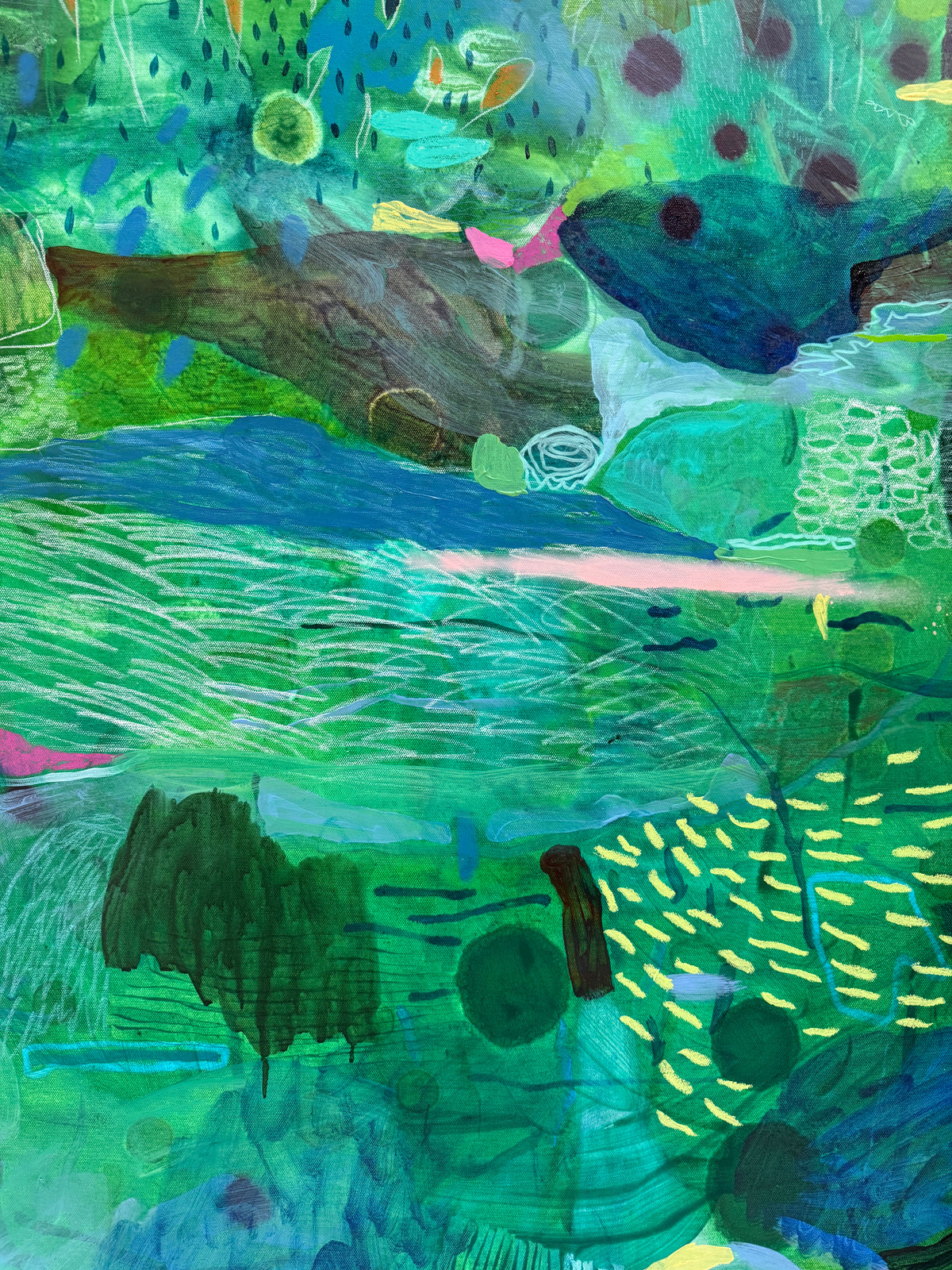 'Swimming Under the Stars'