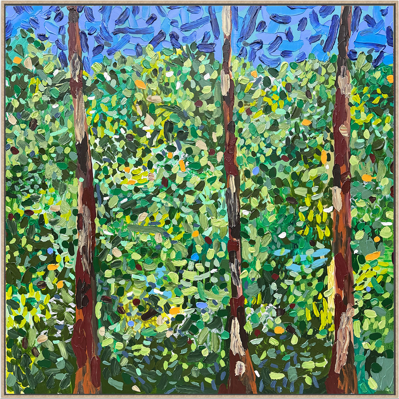 'Trunks'