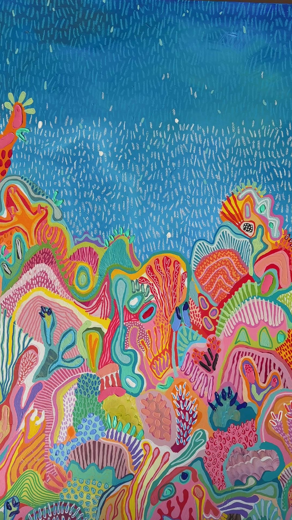 120 x 120 reef dreamer close up video